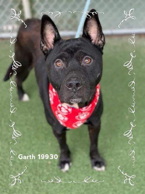 Garth