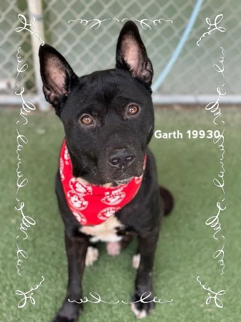 Garth thumbnail 3