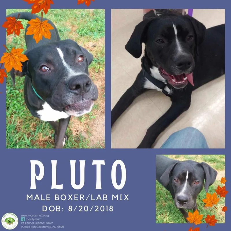 Pluto thumbnail 3