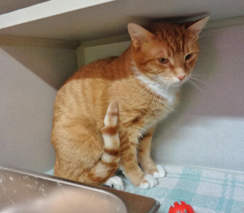 Stockton thumbnail 2