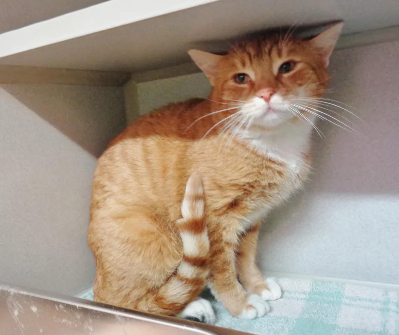 Stockton thumbnail 3