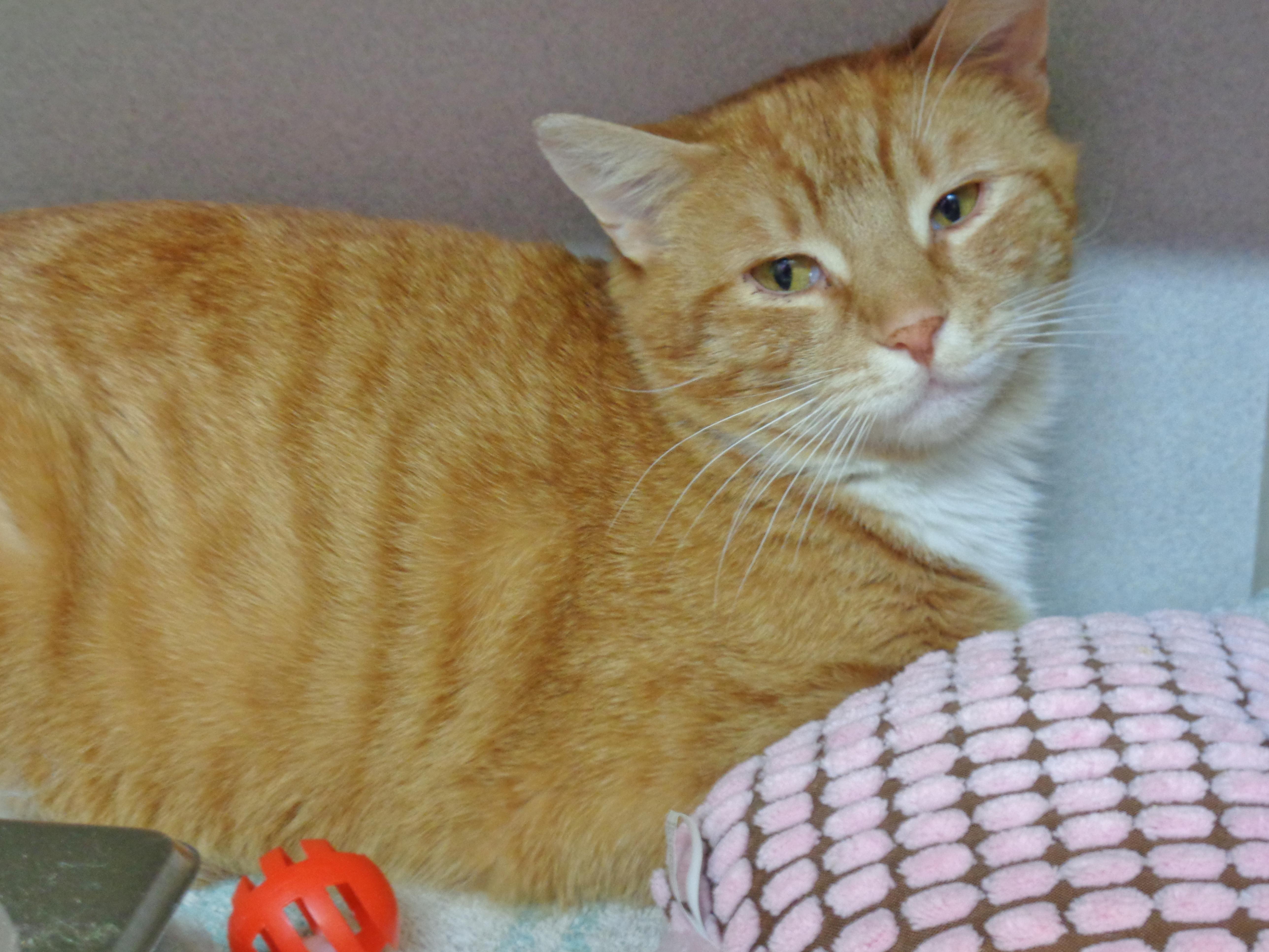 Stockton thumbnail 4