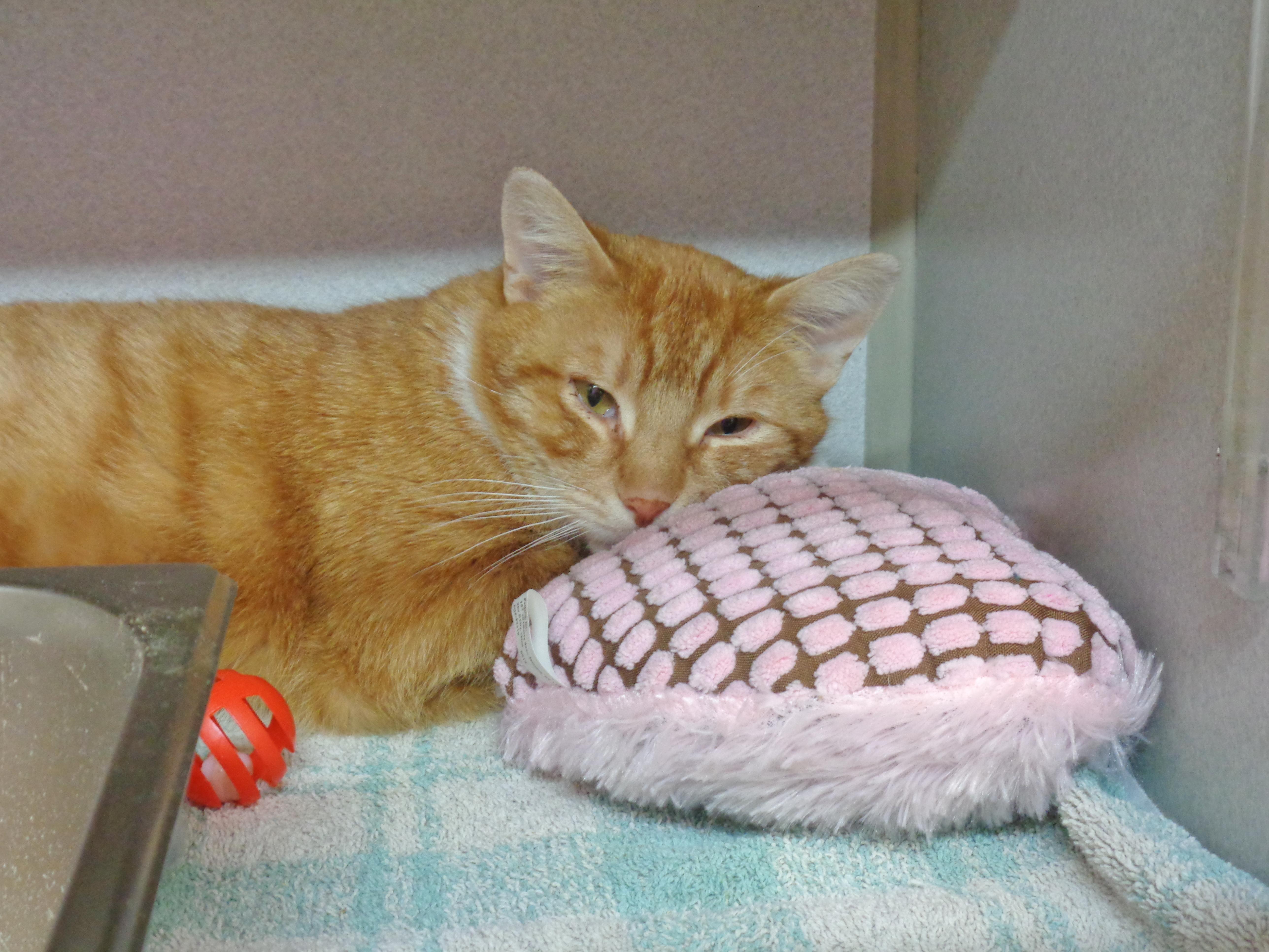 Stockton thumbnail 5