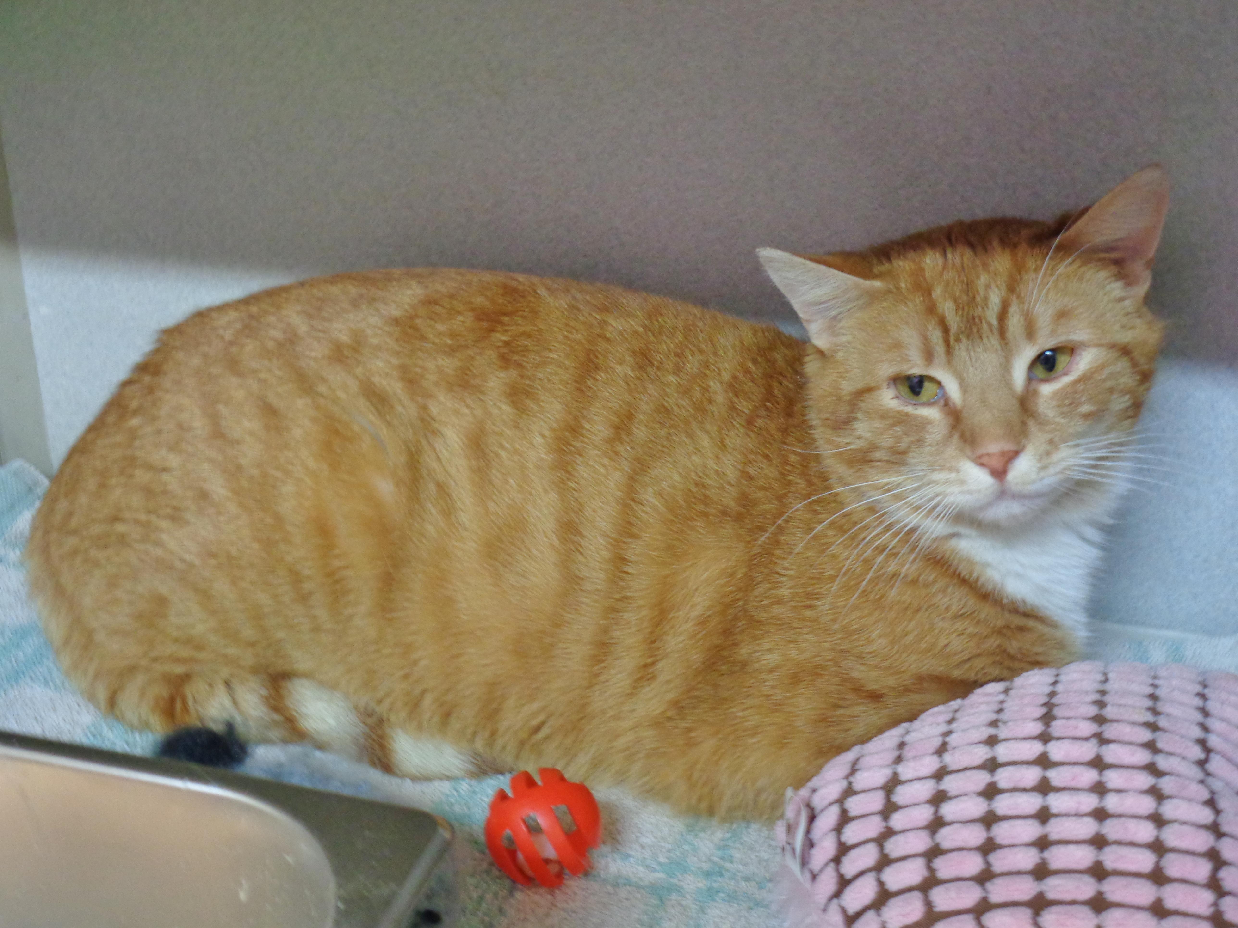 Stockton thumbnail 6