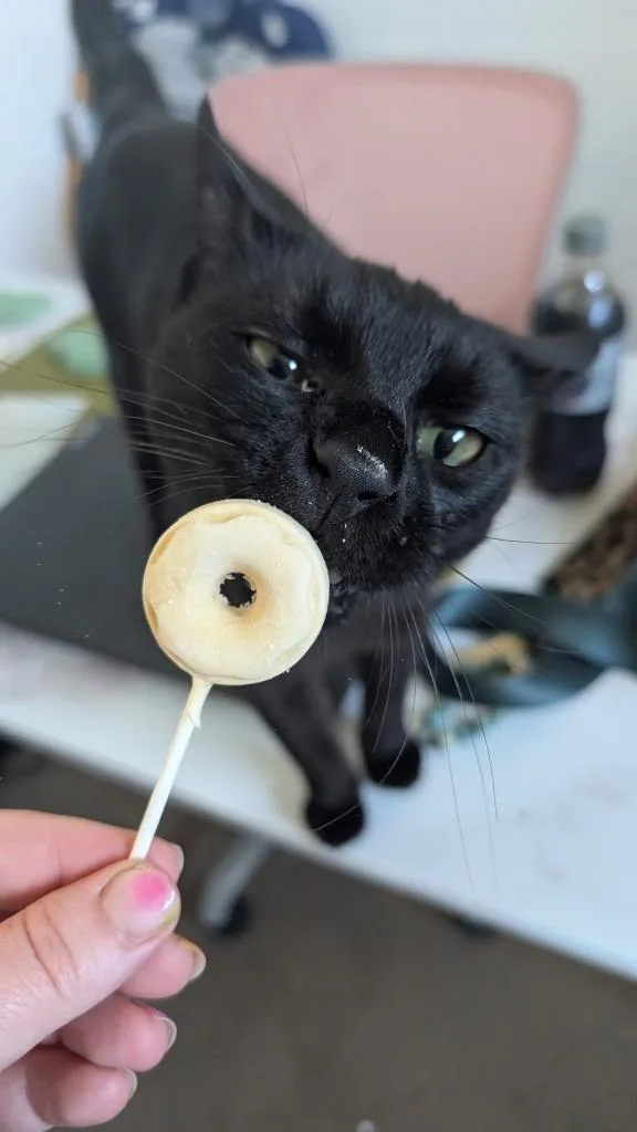 Oodles of Noodles thumbnail 4