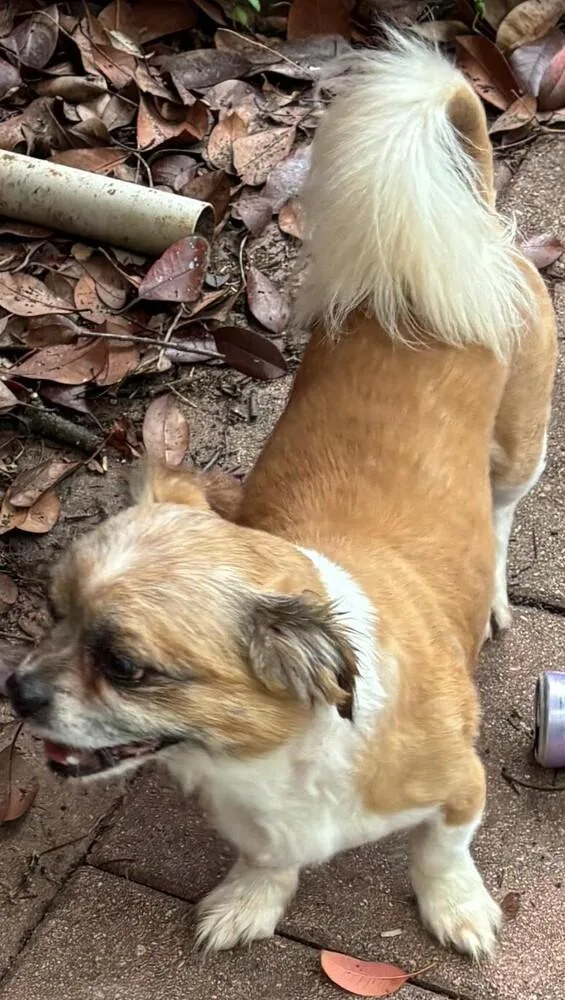 Bentley thumbnail 3