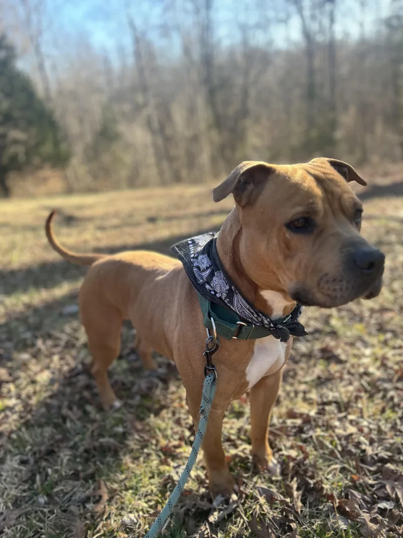 Sergio Aka Sean thumbnail 3