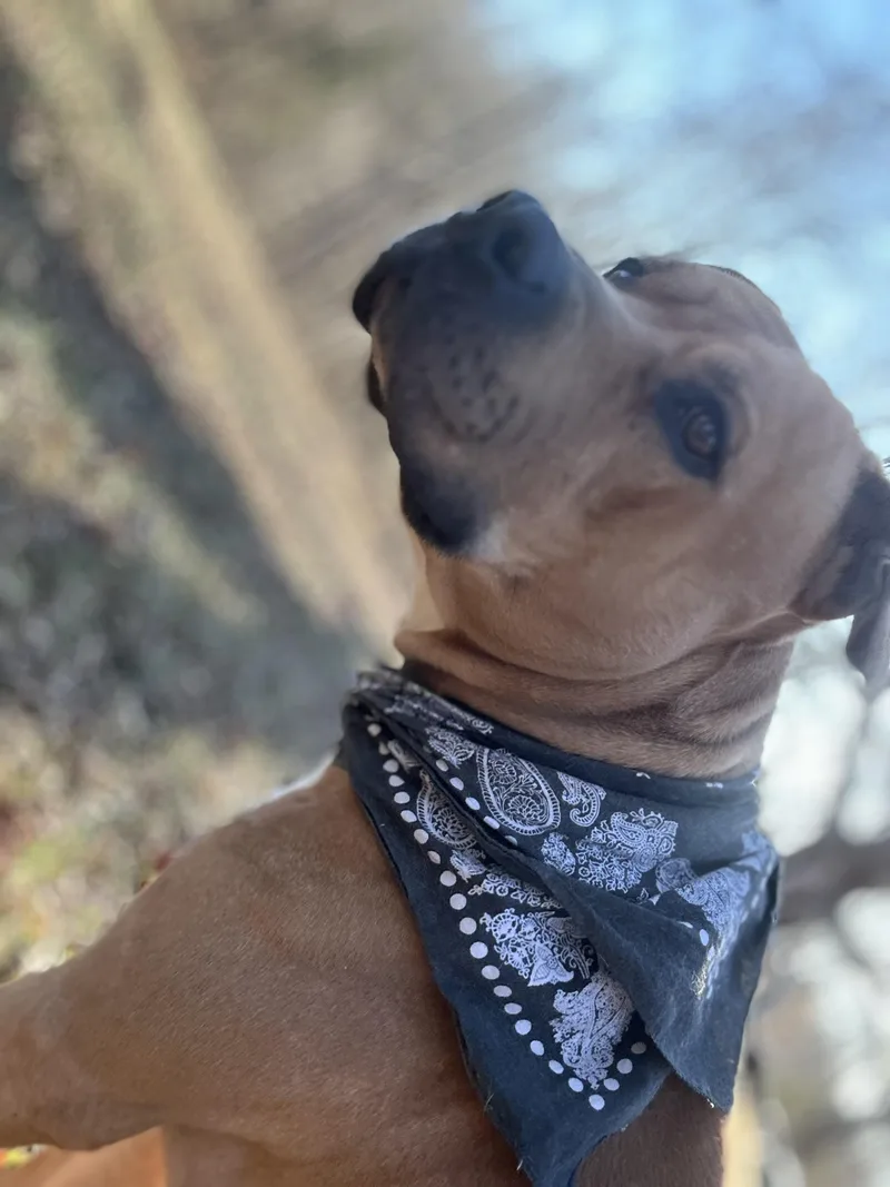 Sergio Aka Sean thumbnail 4