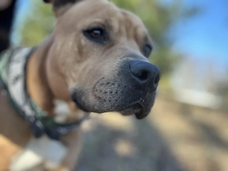 Sergio Aka Sean thumbnail 6