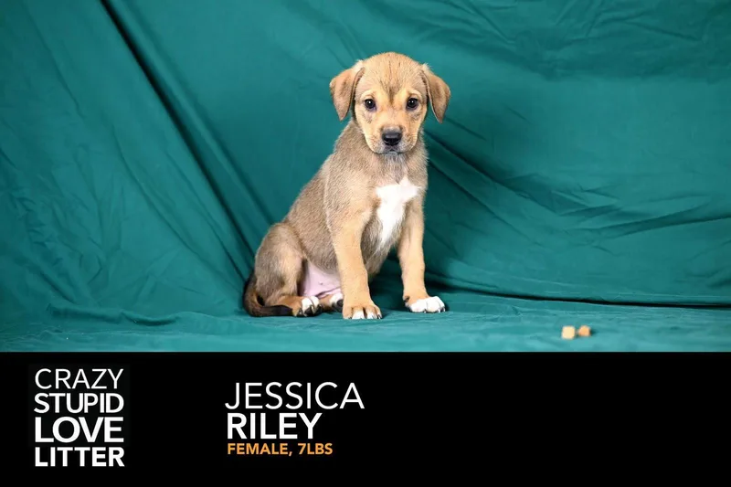 Jessica Riley thumbnail 2