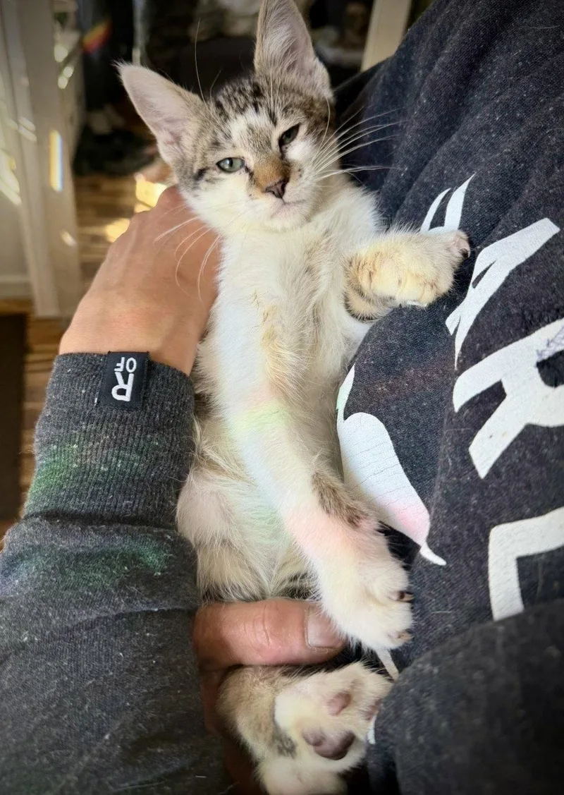 Et Cetera thumbnail 2