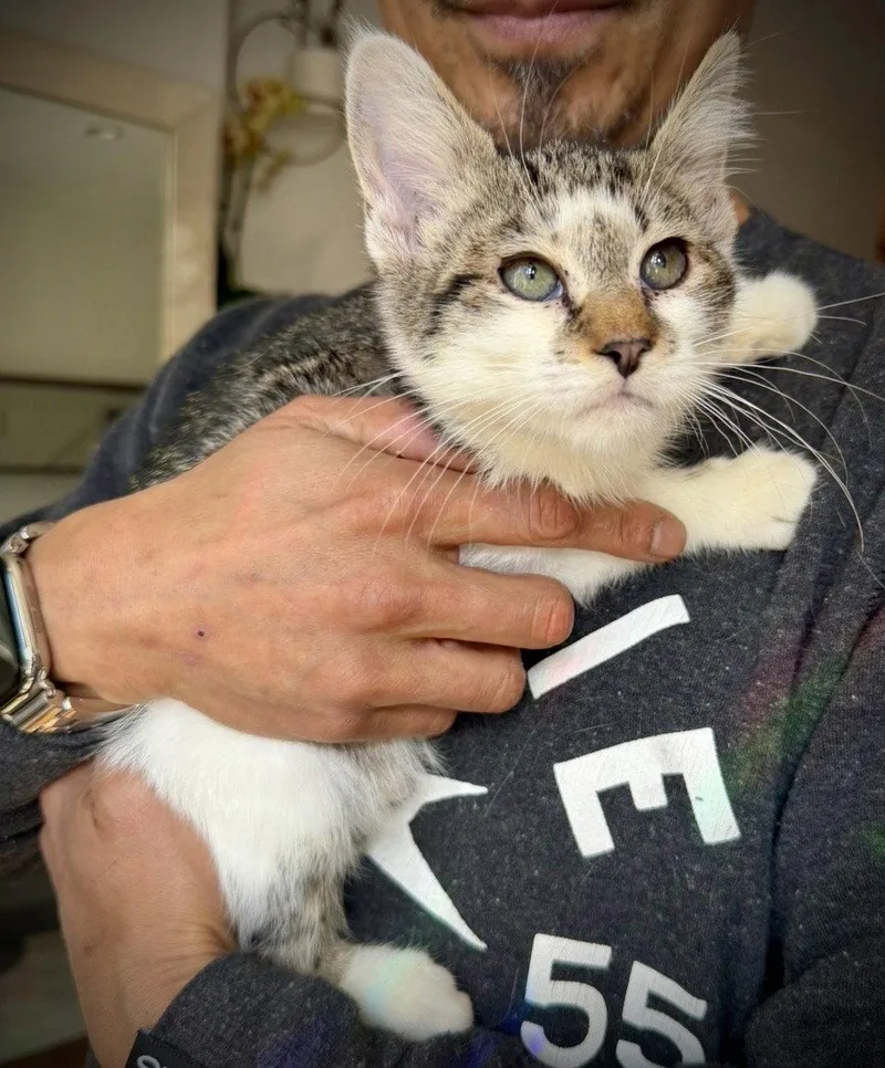 Et Cetera thumbnail 3