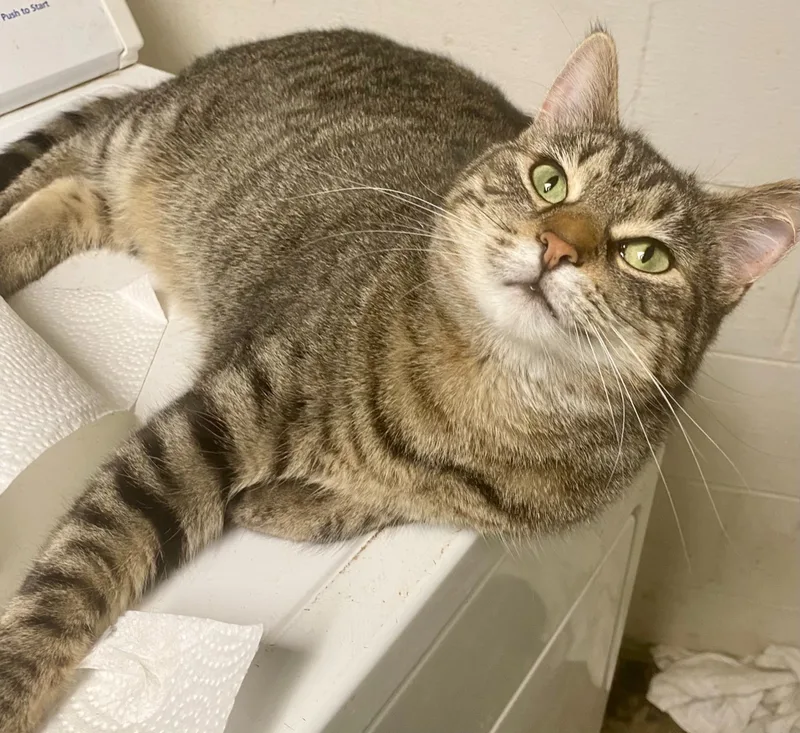 Priyanka thumbnail 2