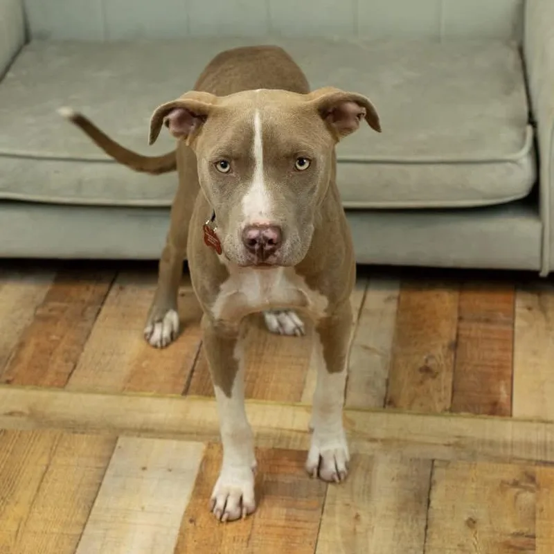 Mr. Horton thumbnail 2