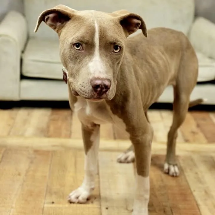 Mr. Horton thumbnail 3