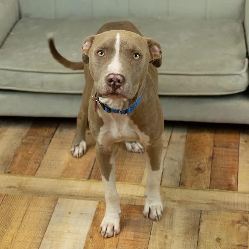 Mr. Horton thumbnail 6