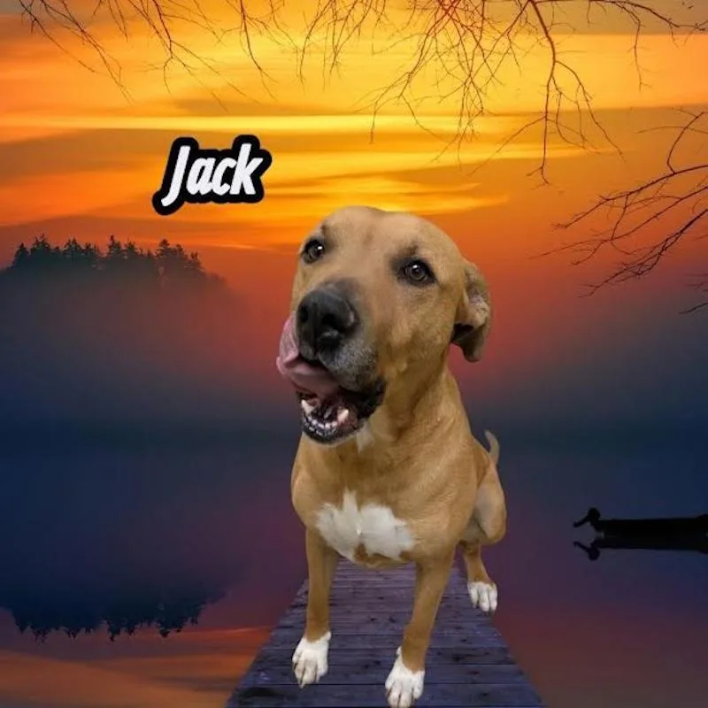 Jack