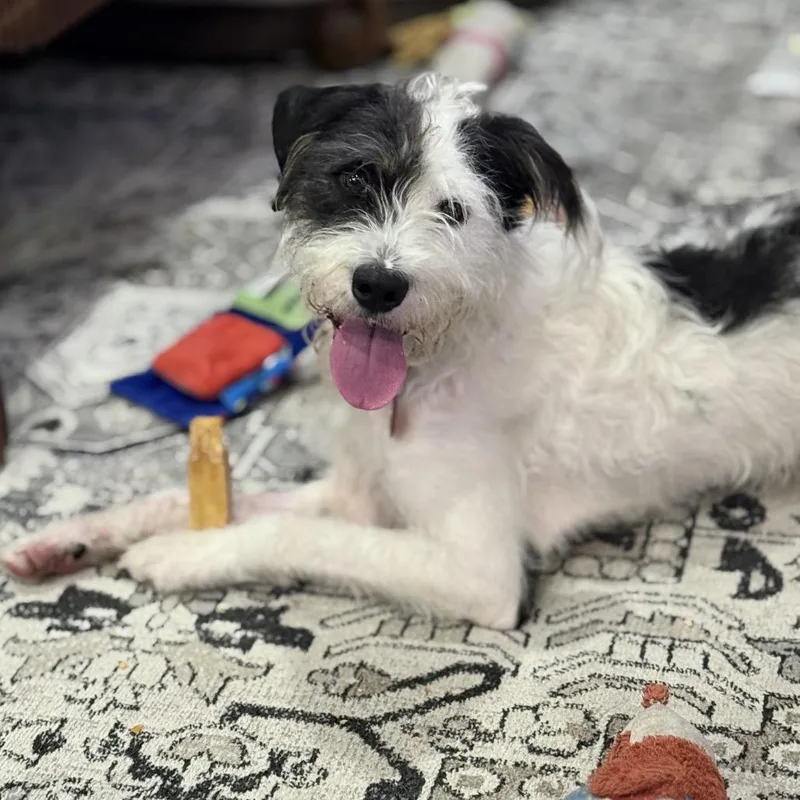Daisy Mae thumbnail 2