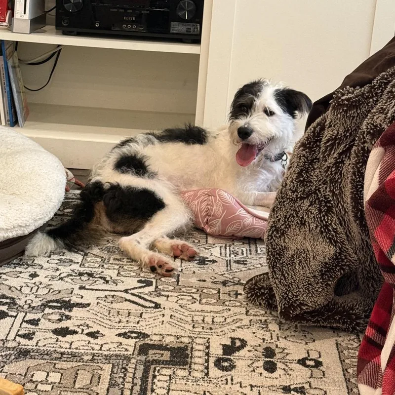 Daisy Mae thumbnail 3