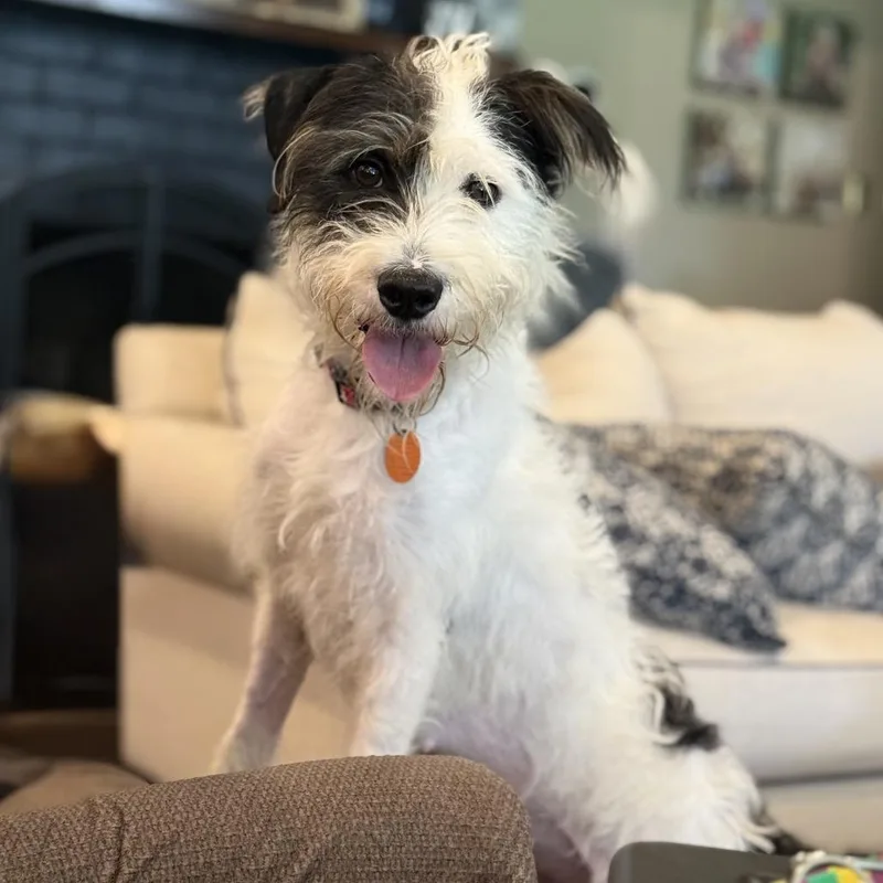 Daisy Mae thumbnail 5