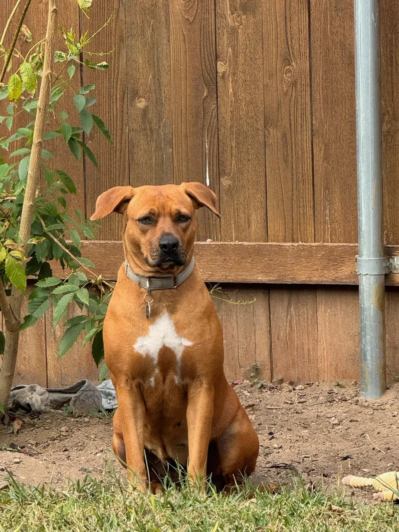 Mama Mia thumbnail 2