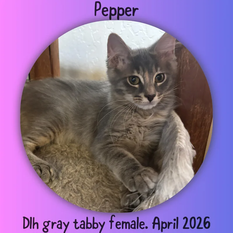 Pepper