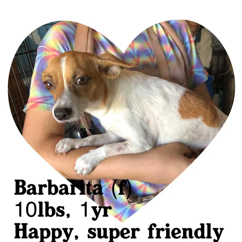 Barbarita Aka Jackie thumbnail 2