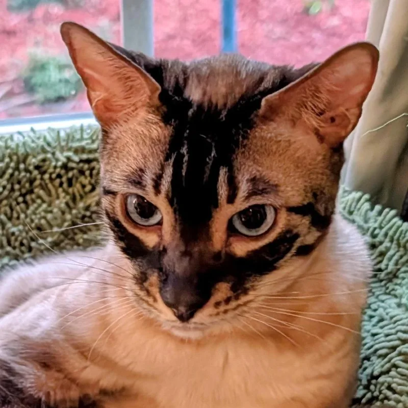Benny