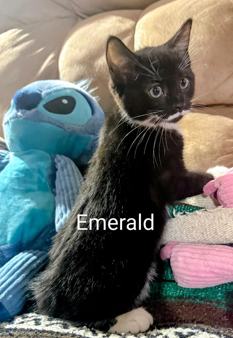 Emerald