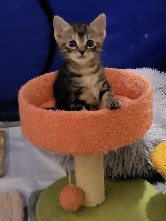 Compass And Channel thumbnail 2