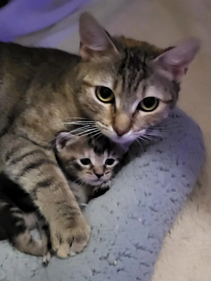 Compass And Channel thumbnail 6