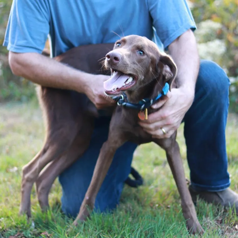 CT Dougal thumbnail 6