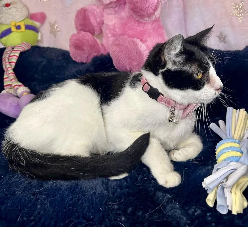 Mckenzie thumbnail 2