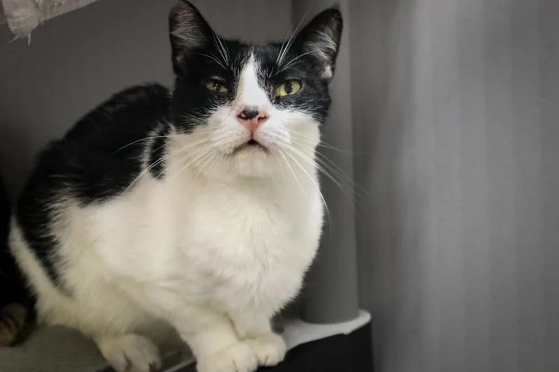 Mckenzie thumbnail 3