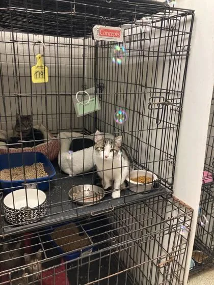 Gretchen Weiners thumbnail 3