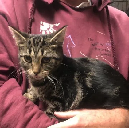 Gretchen Weiners thumbnail 4