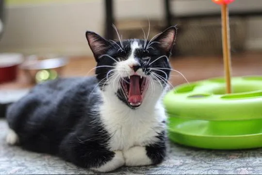 Blessing thumbnail 2