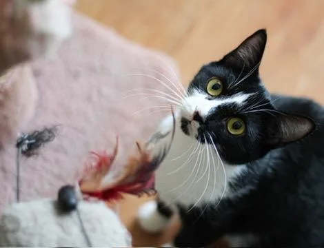 Blessing thumbnail 4