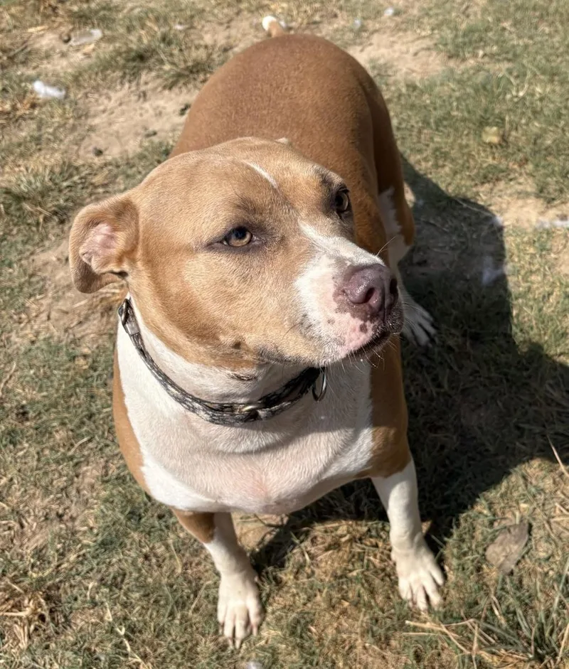 Demi thumbnail 6