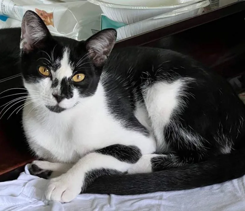 Wisconsin thumbnail 3