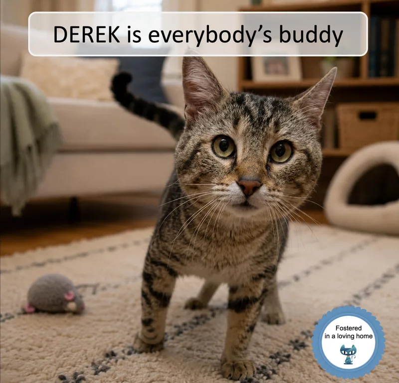 Derek