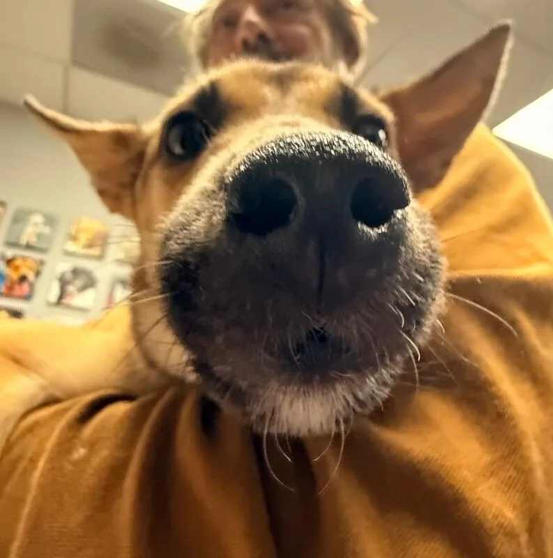 Mercedes thumbnail 3