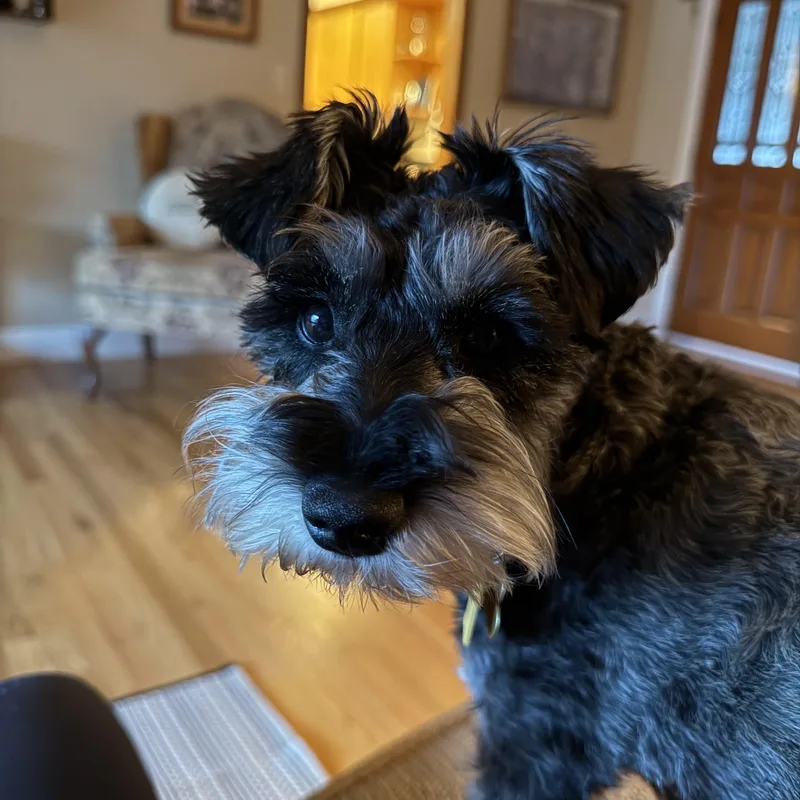 Winnie thumbnail 3