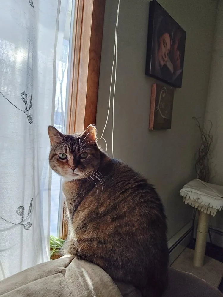 French Toast thumbnail 6