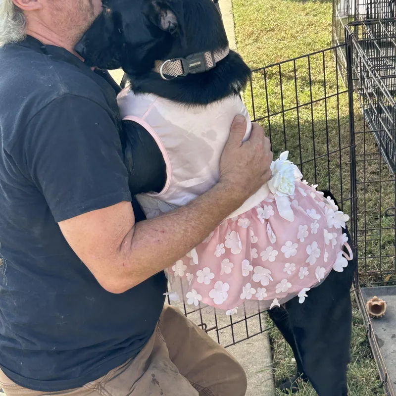 Victoria thumbnail 6