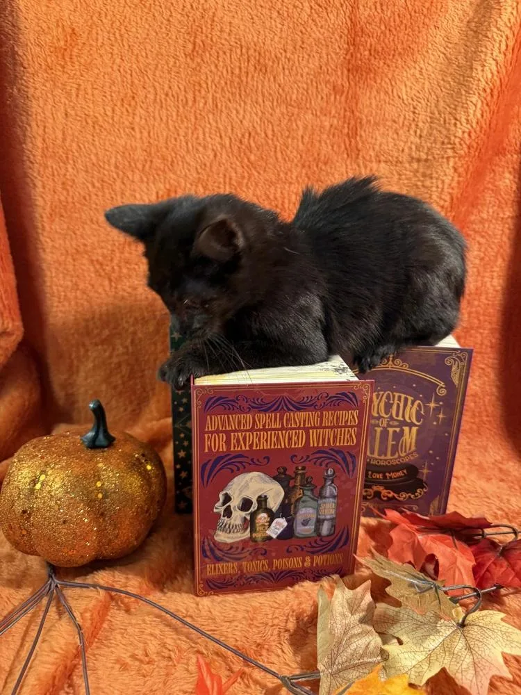 Dark Passenger thumbnail 3