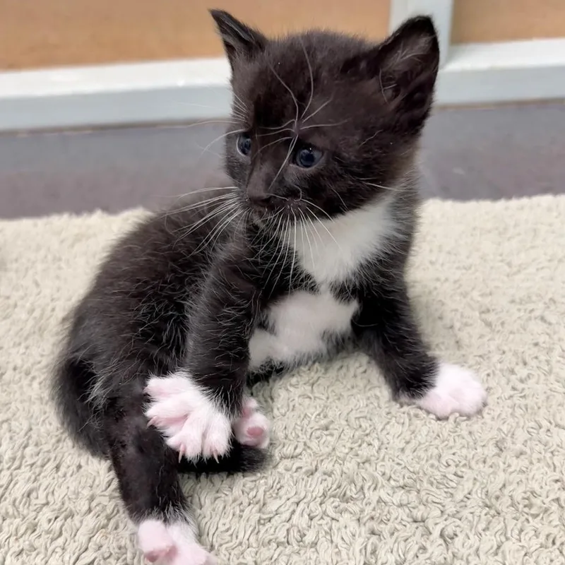 Lenny thumbnail 2