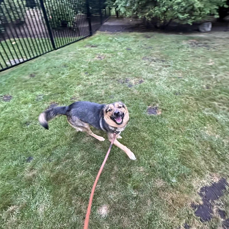 Hazel  happy  thumbnail 4