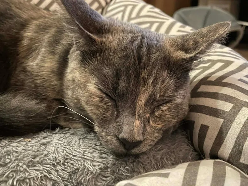 Pebbles thumbnail 4