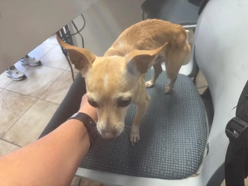 Chalupa thumbnail 2